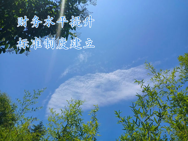 如何提高財(cái)務(wù)部門員工的溝通技能？
